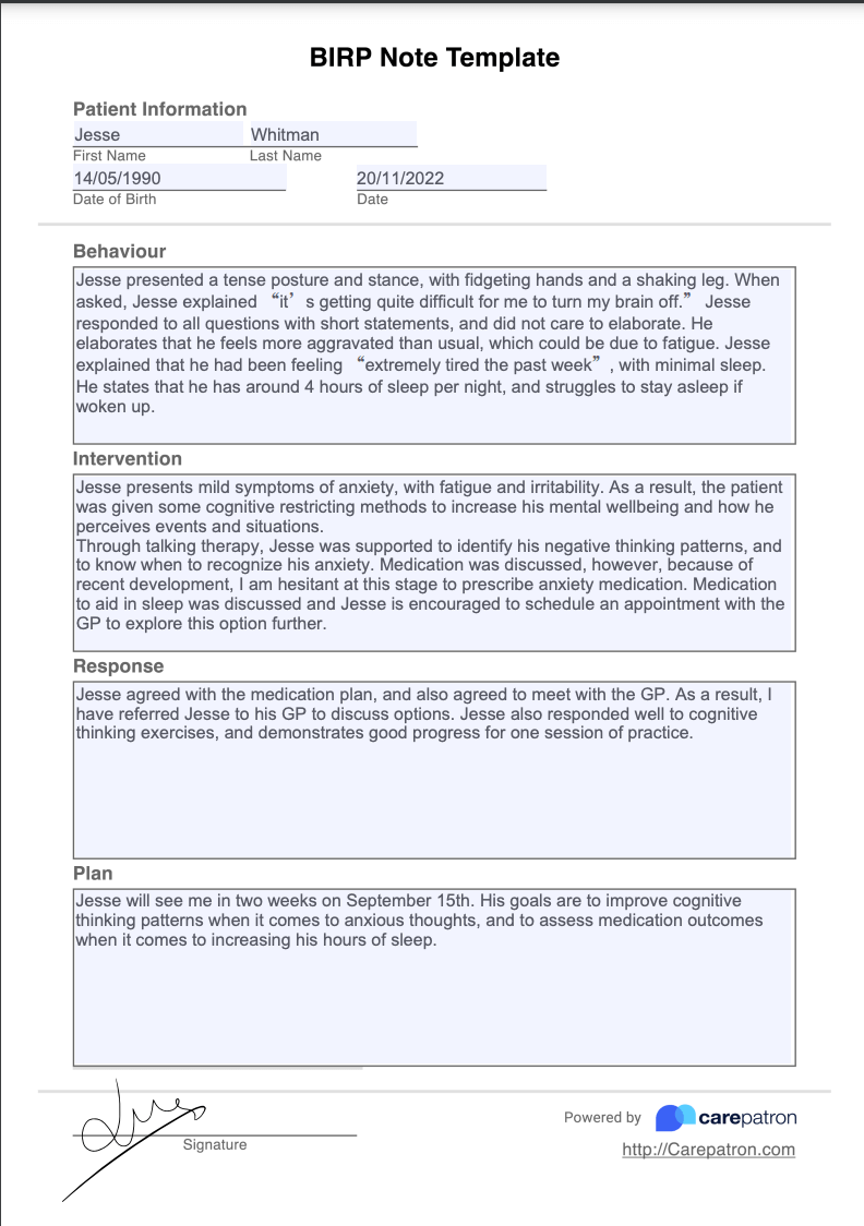 BIRP Notes Template Example Free PDF Download